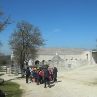 OTTOBRE 2015 &raquo; primavera 2014 galeone
